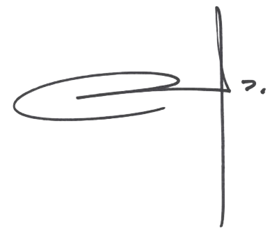Firma del Director