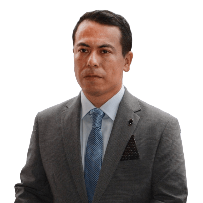 perfil